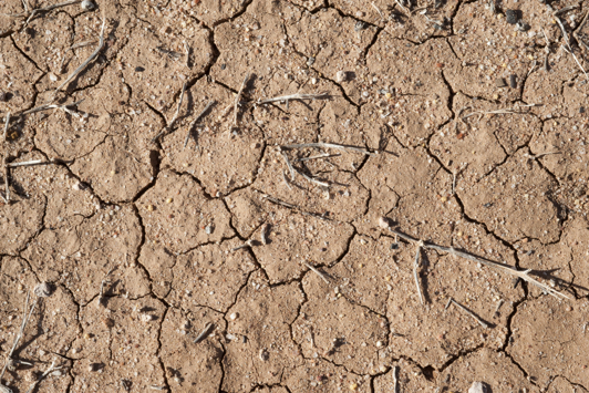 Dry cracked soil with small rocks and sticks