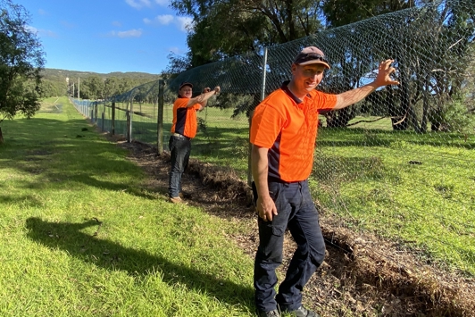 Two people in hi-vis putting up tall fencing - feral cat management grants