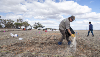 Person in field conducting soil trials