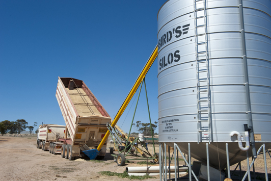 Grain storage