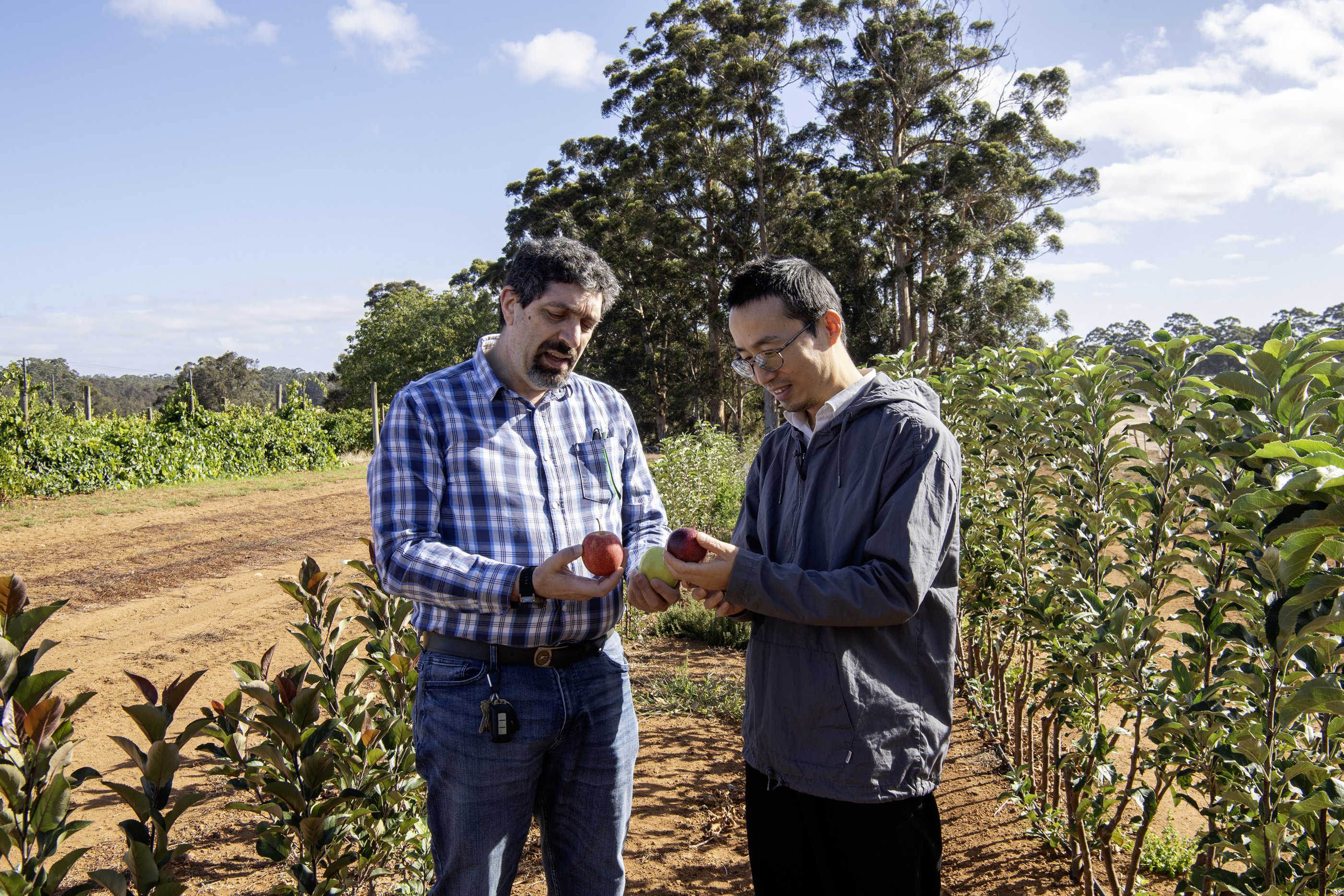 Two scientists in an orchard field trial
