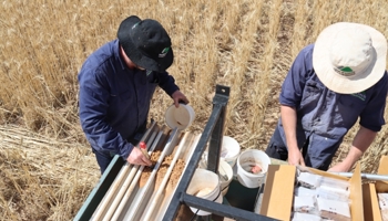 Two scientists building on a truck bed in a paddock