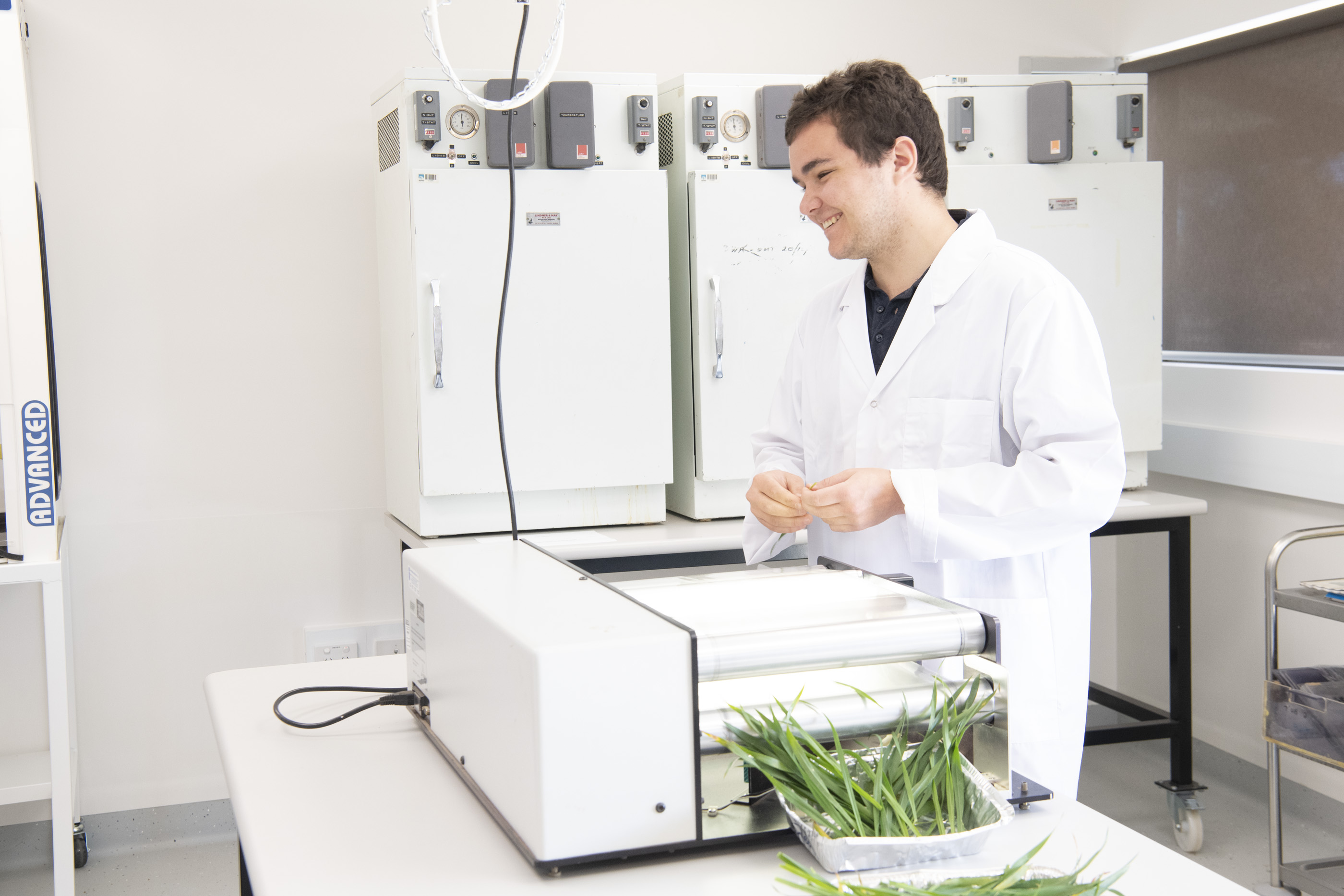 Scientist research grains plants in the laboratory