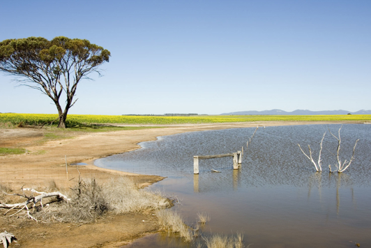 Saltland with ranges in the background
