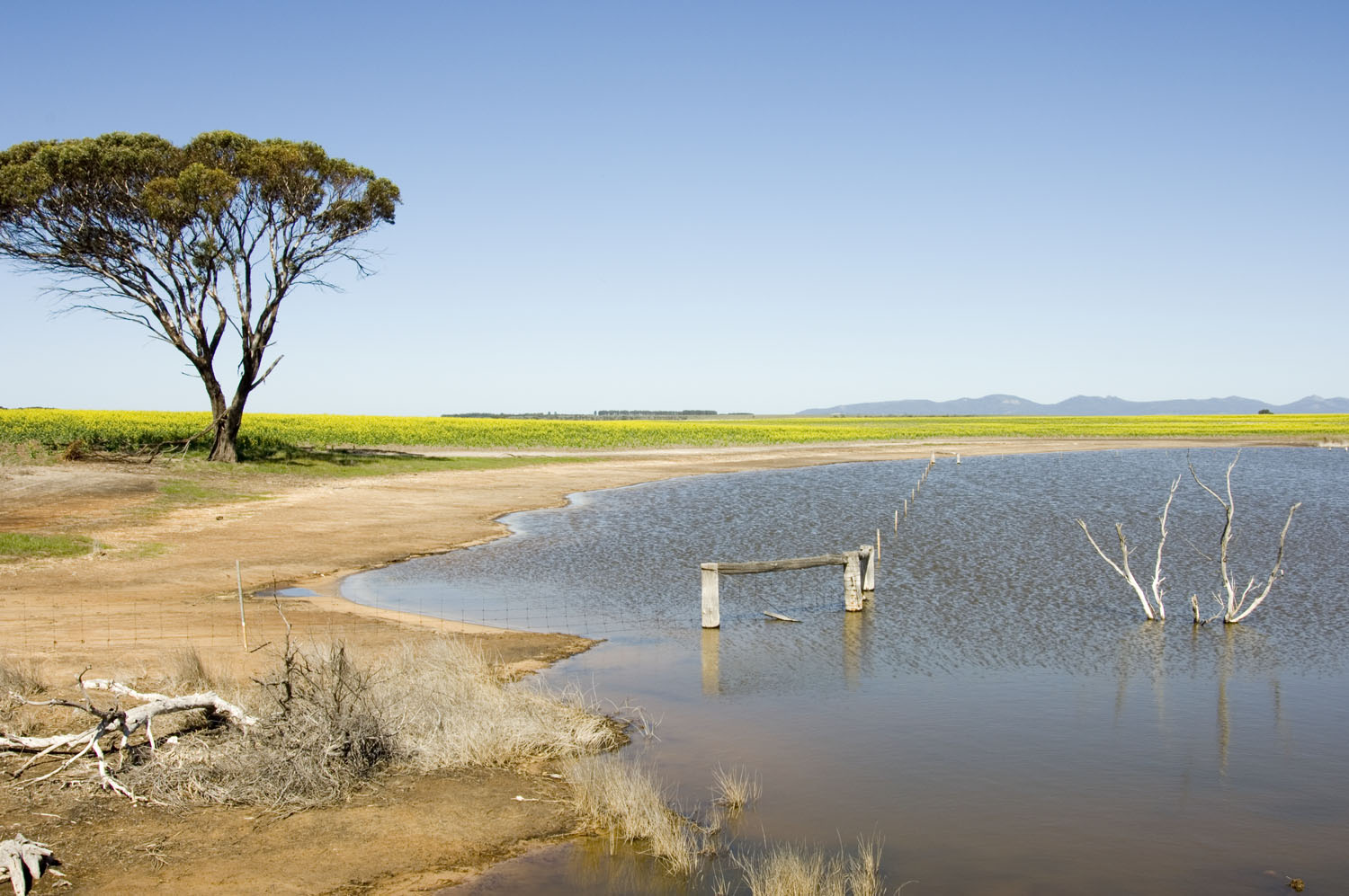 Saltland with mountains in the background