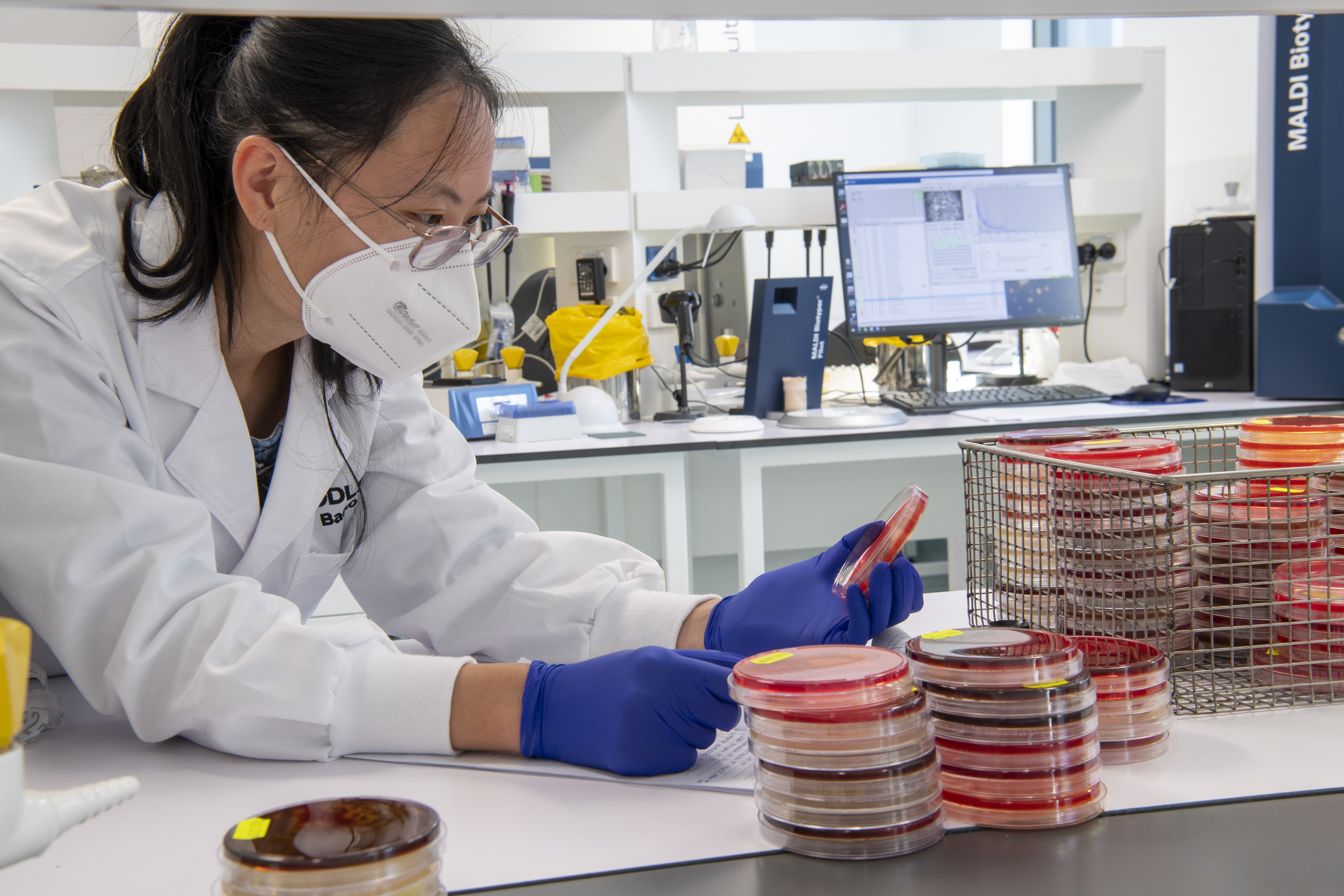 Scientist inspecting specimen slides in the laboratory