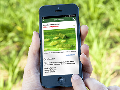 Hands holding a mobile phone with an app in use.