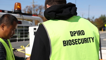 DPIRD biosecurity staff working in the field