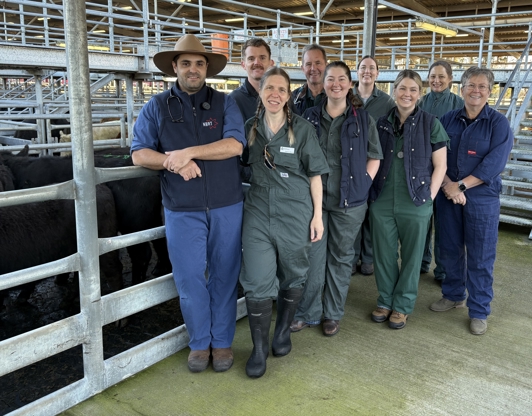 DPIRD Animal Biosecurity and Welfare field vets