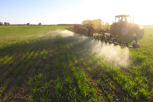 Farm machinery spraying crop