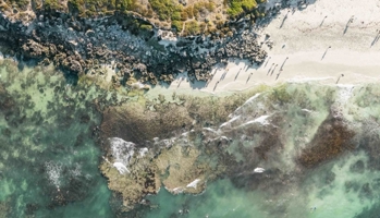 Aerial view of beach