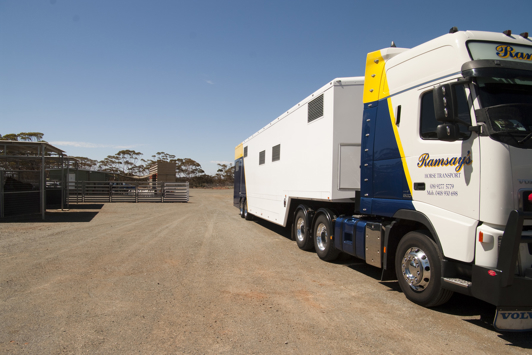 Horse transport truck in quarantine stockyard