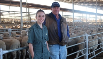 Vet standing in front of sheep pen