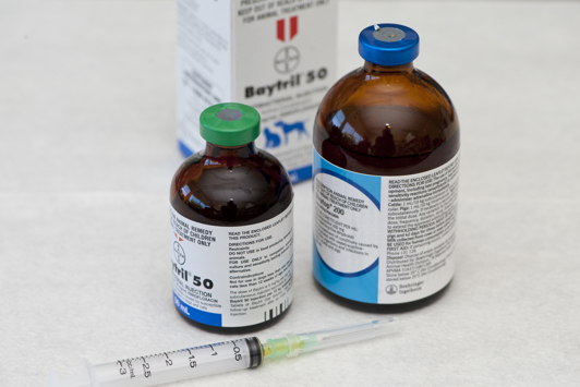 Veterinary medication with syringe