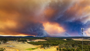 Bushfire