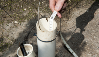 Monitoring water Levels in bore in saline land planted with saltbush