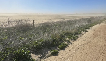 Soil erosion and land degradation in Western Australia