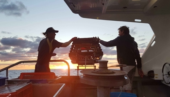 Two people on a commercial lobster fishing boat with sunset in the background