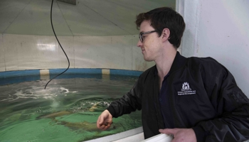 Person feeding fish in hatchery