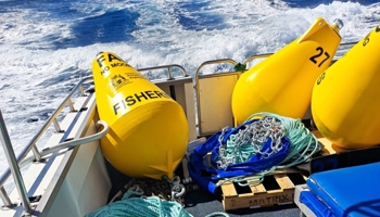 Fish Aggregation Devices on the back of a boat