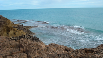Image of Eighty Mile Beach Marine Park coastline