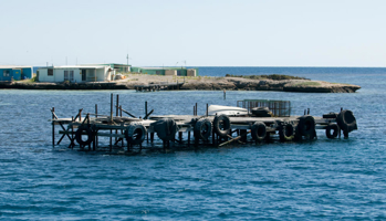 Jetty at Southern Group Houtman Abrolhos Islands