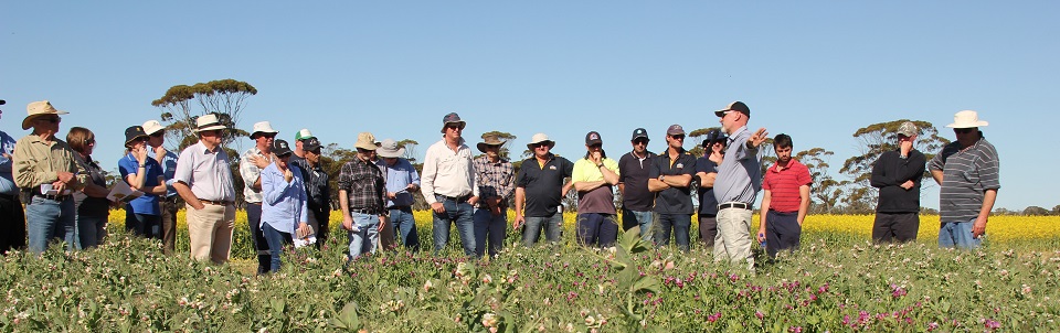 Group of about 20 people standing in a crop