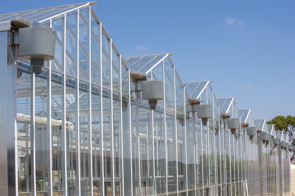 Row of glasshouses