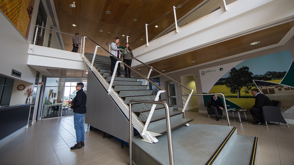 A group of people standing on a staircase.