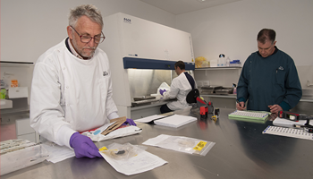 DPIRD Diagnostics and Laboratory Services staff in the lab