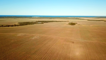 Farmland interspersed with broad banks