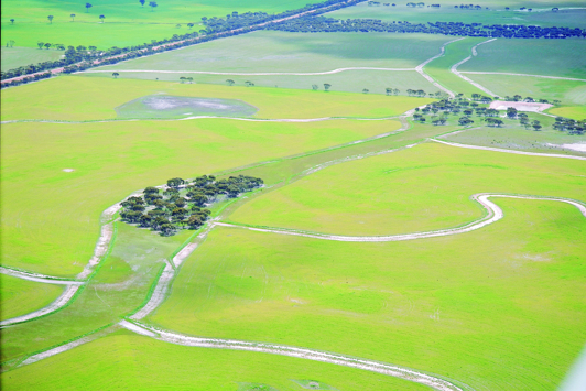 Farmland interspersed by banks