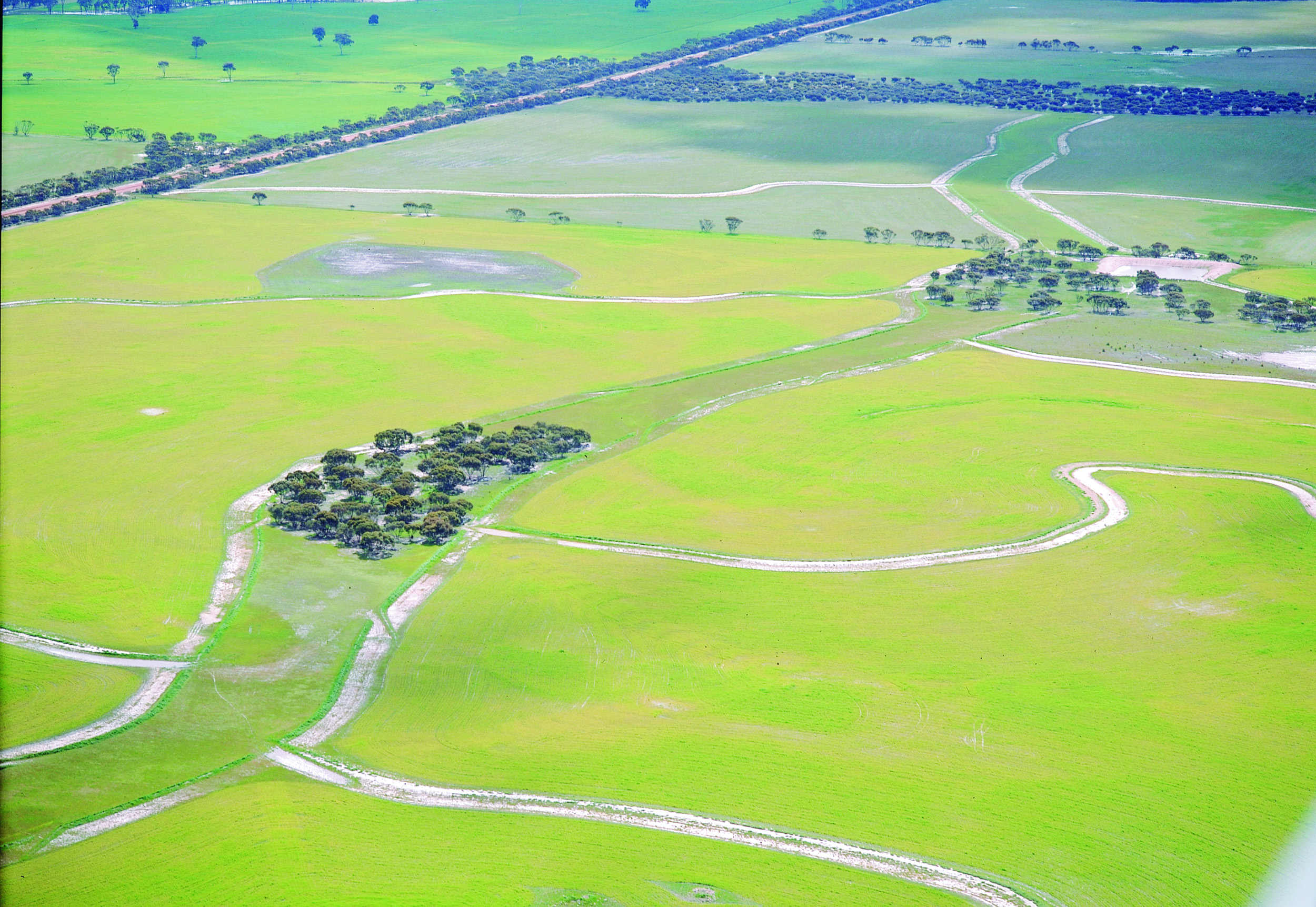 Farmland interspersed by banks