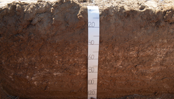 Soil profile with measure