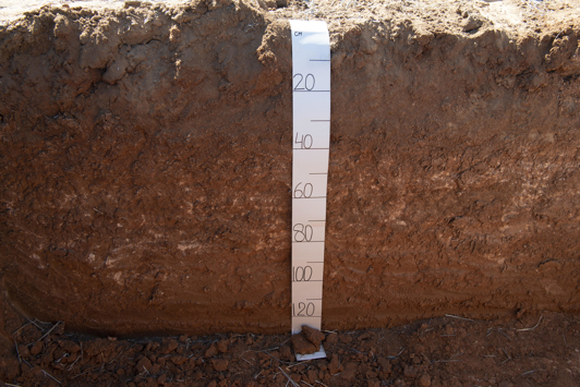 Soil profile with measure