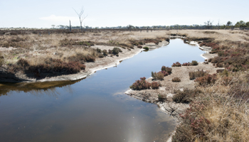Drainage pond for salt water